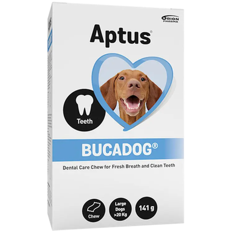 Bucadog Tuggbitar Large