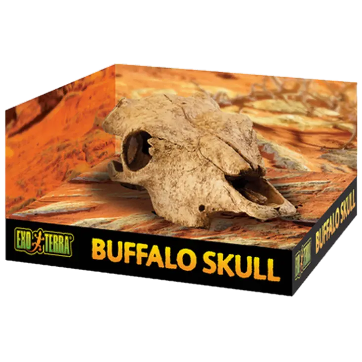 Buffalo Skull - Secure Hiding Place