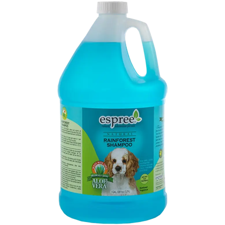 Rainforest Shampoo