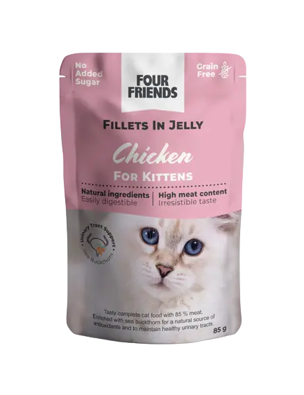 Cat Kitten Chicken in Jelly Pouch