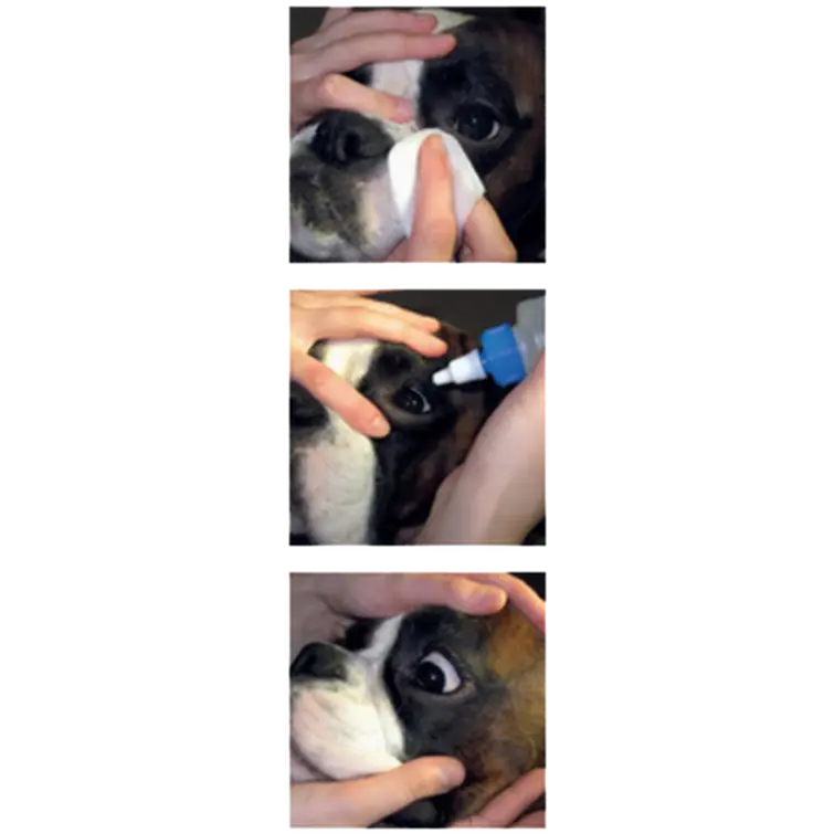 Eye Cleanser Ögonrens