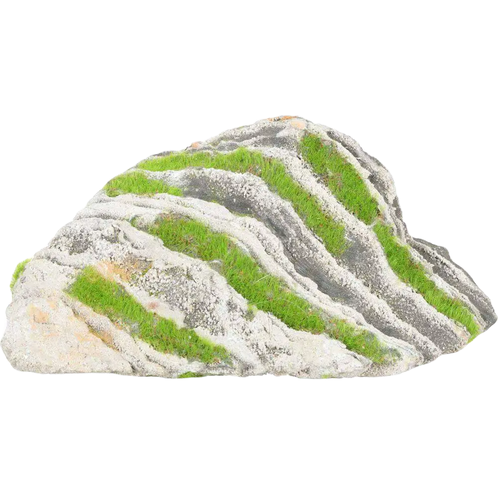 Kipouss Two Coloured Stone With Live Plant Seeds