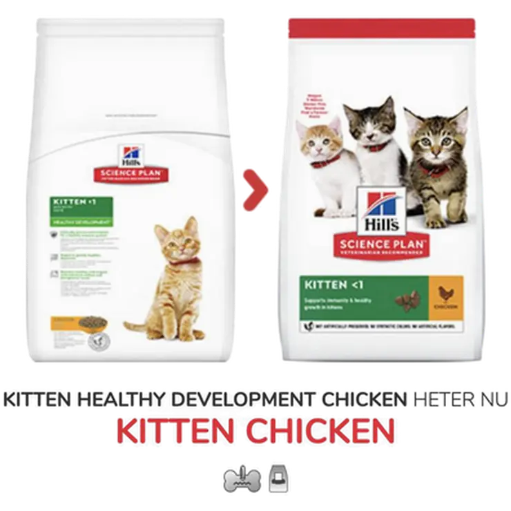 Kitten Healthy Development Chicken - Dry Cat Food