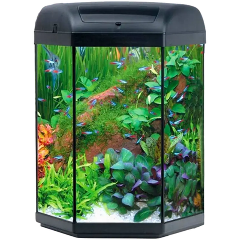 Hexa-starterset LED Aquarium