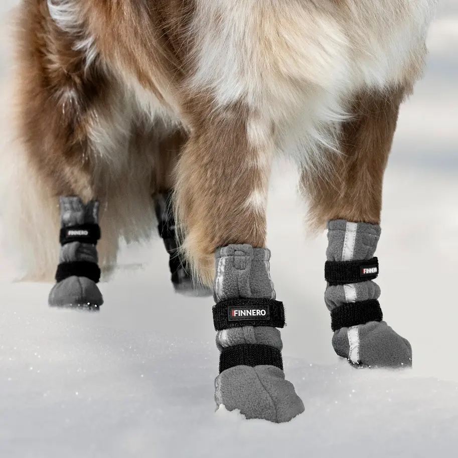 Hundsko Halla med reflex 4-Pack Orange