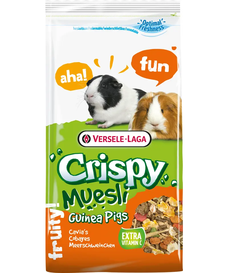 Crispy Muesli Guinea Pigs