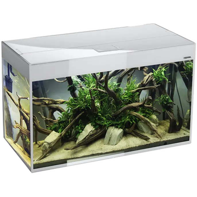 Glossy Aquarium