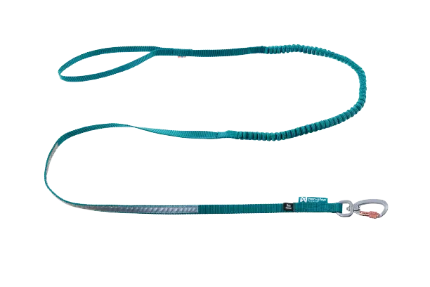Touring bungee leash