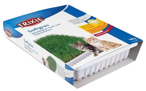 Kattgräs, mjukt, vitaminberikad, med odlingslåda