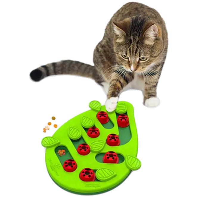 Cat Puzzle & Play Buggin Out