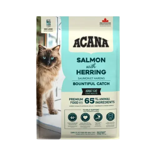 Cat Bountiful Catch