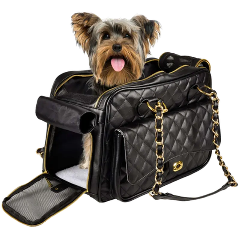 Carrying Bag Gigi,, Gold Chain