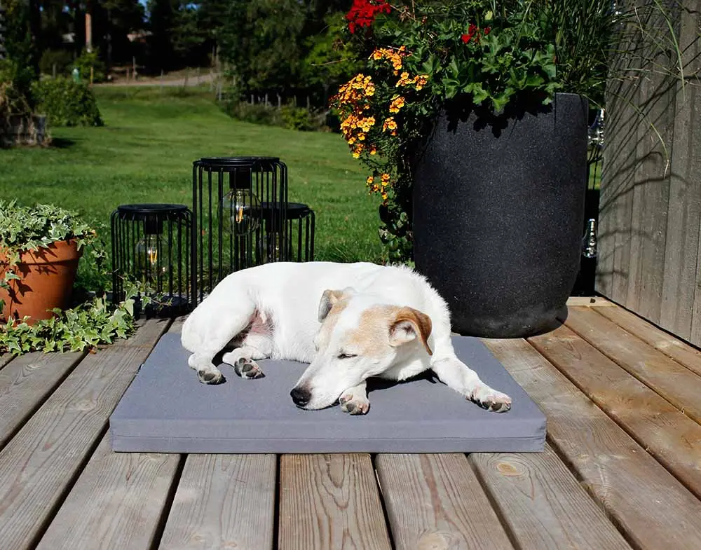 Biabädd Madrass Outdoor - Hunddyna