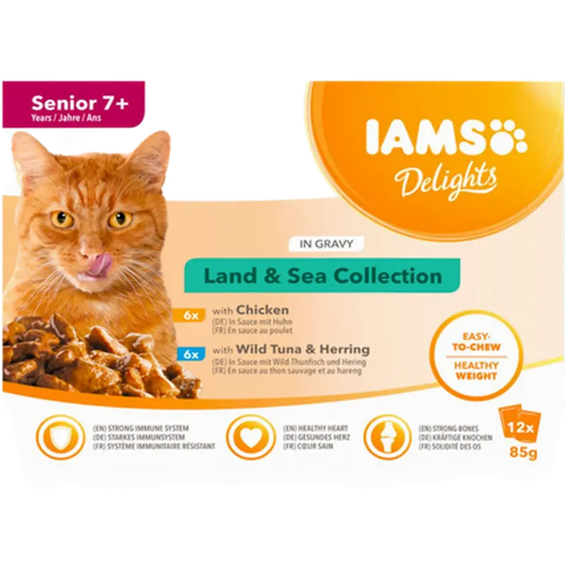 Delights Multipack Senior Gravy
