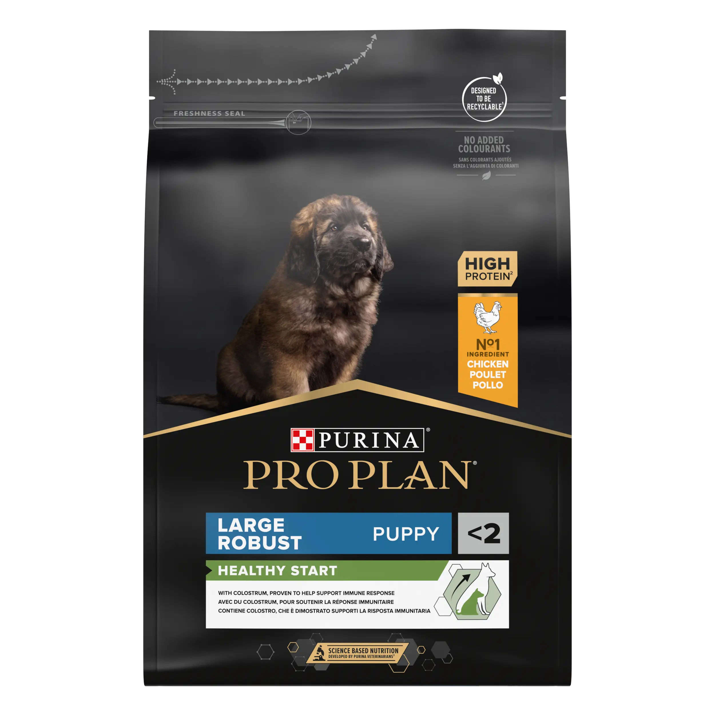 Large Robust Puppy - HEALTHY START