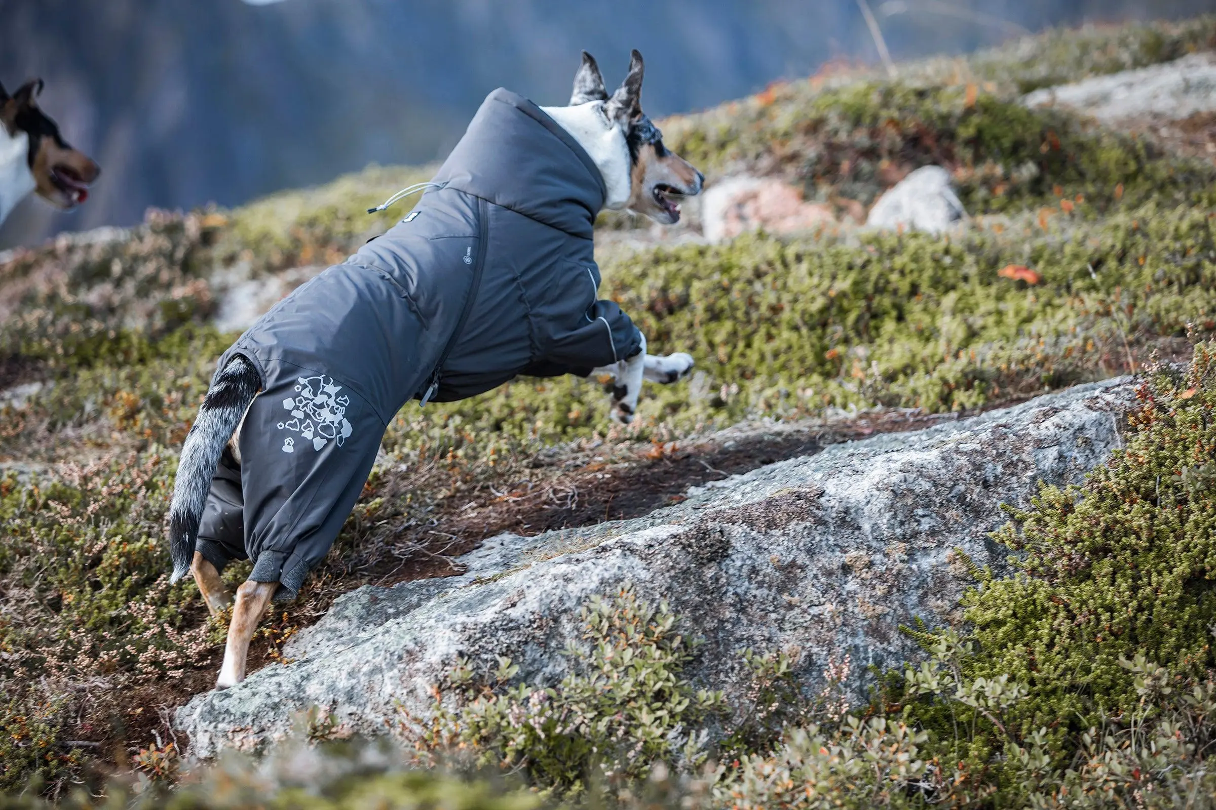 Hurtta Extreme Overall – fodrad vinteroverall för hund
