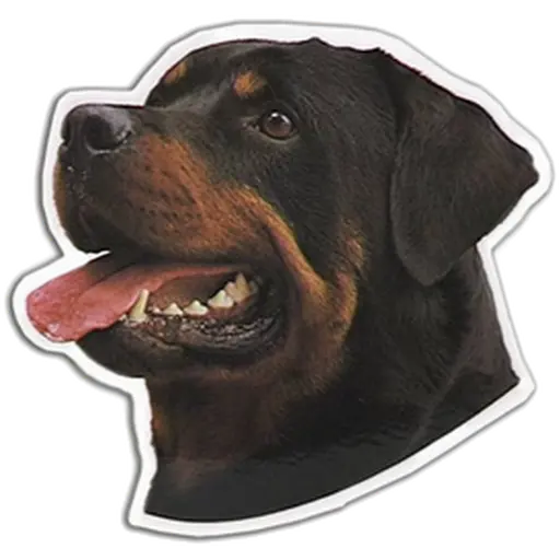 World Stickers Dekal Rottweiler huvud Bild