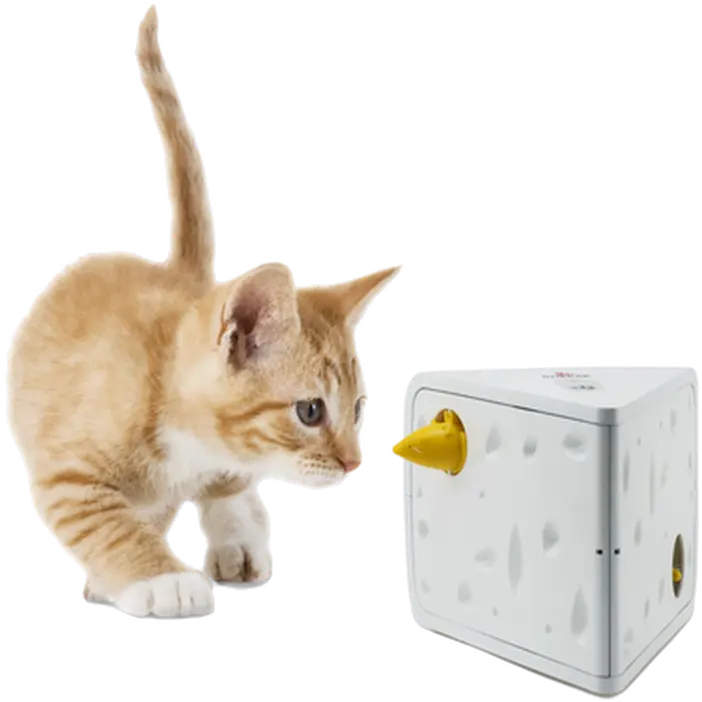 Cheese Cat Toy
