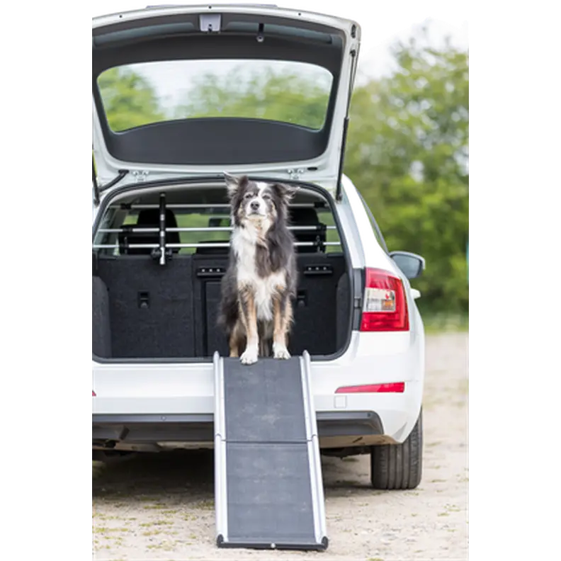 Petwalk Ramp Aluminium