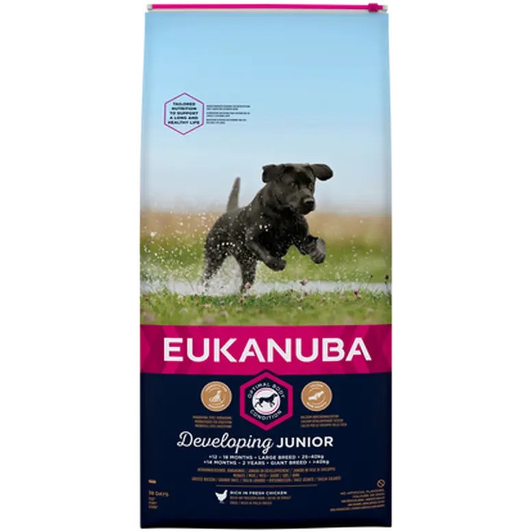 Dog Junior Large test