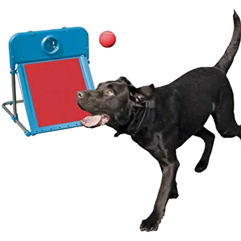 Range Flyball
