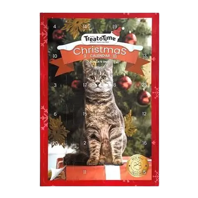 Julkalender katt