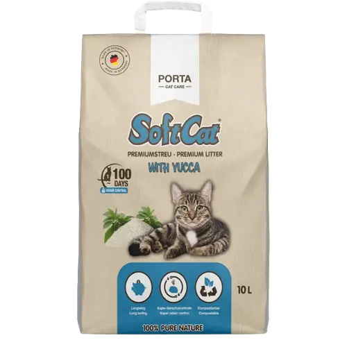 Soft Cat Yucca