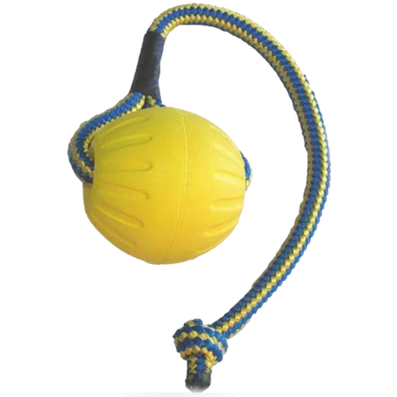 Swing & Fling Durafoam Fetch Ball on a rope