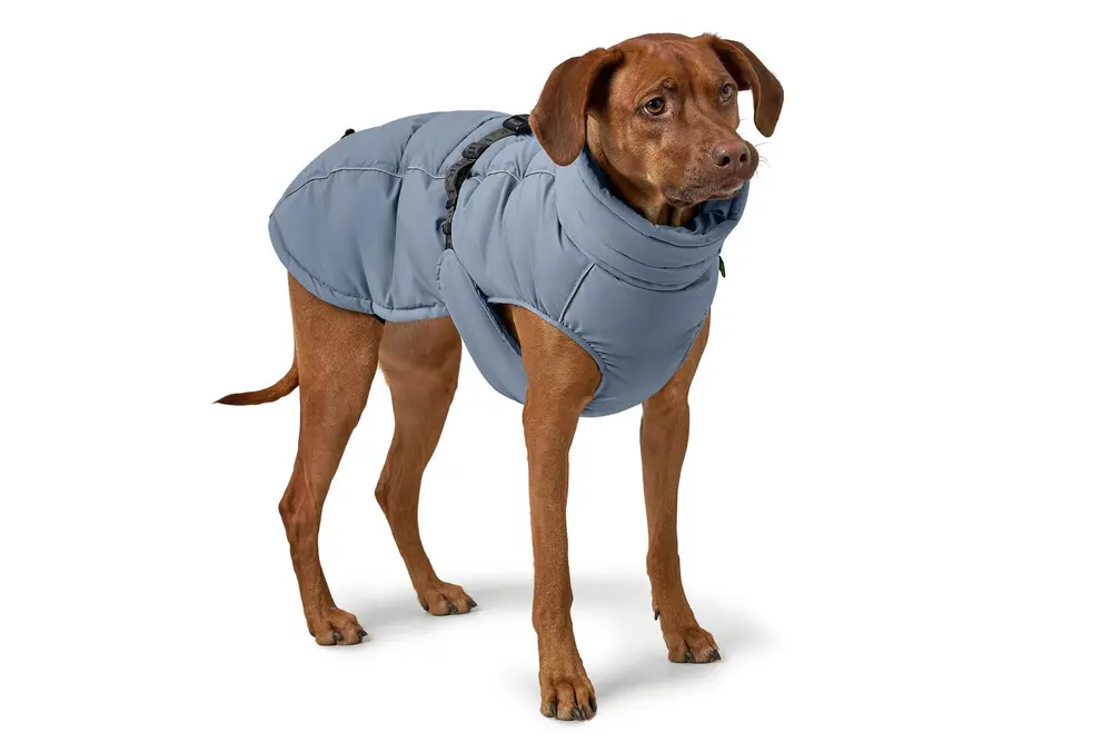 Coat Paxson Powder Blue