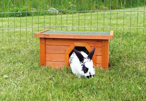 Natura Small Animal Home Outdoor