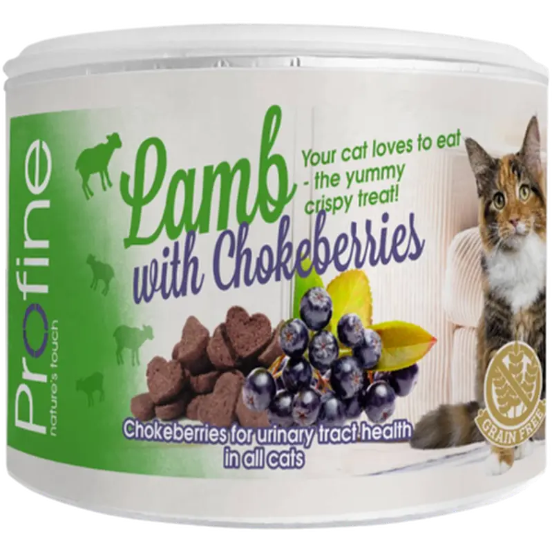 Cat Crunchy Snack Lamb & Chokeberries Berry