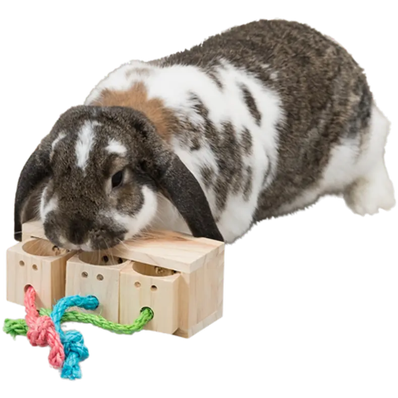 Wooden Snack Cube