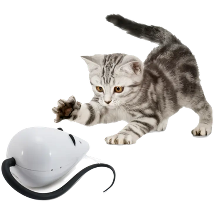 Rolorat Automatic Cat Teaser