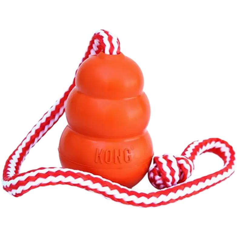 Aqua Cool with Rope Dog Toy