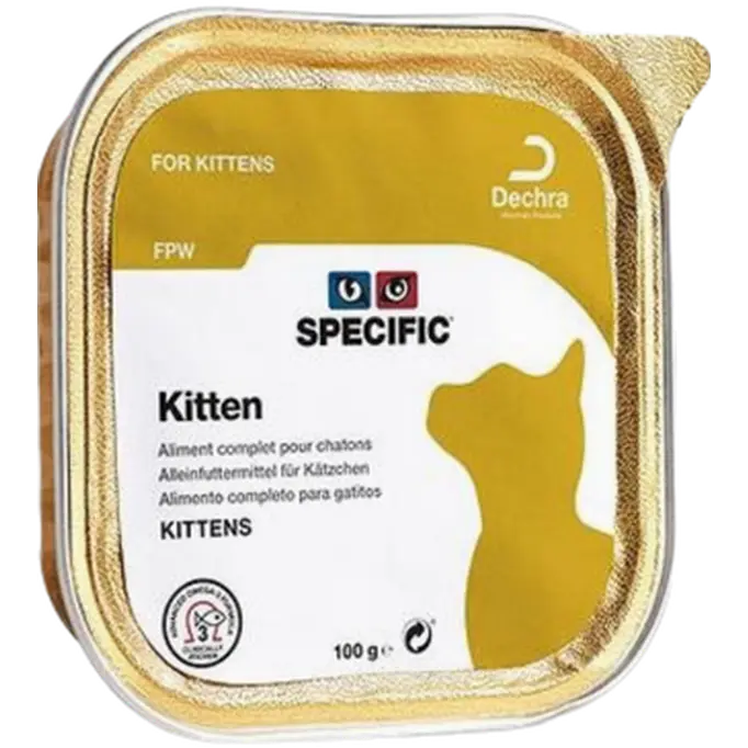 Cats FPW Kitten