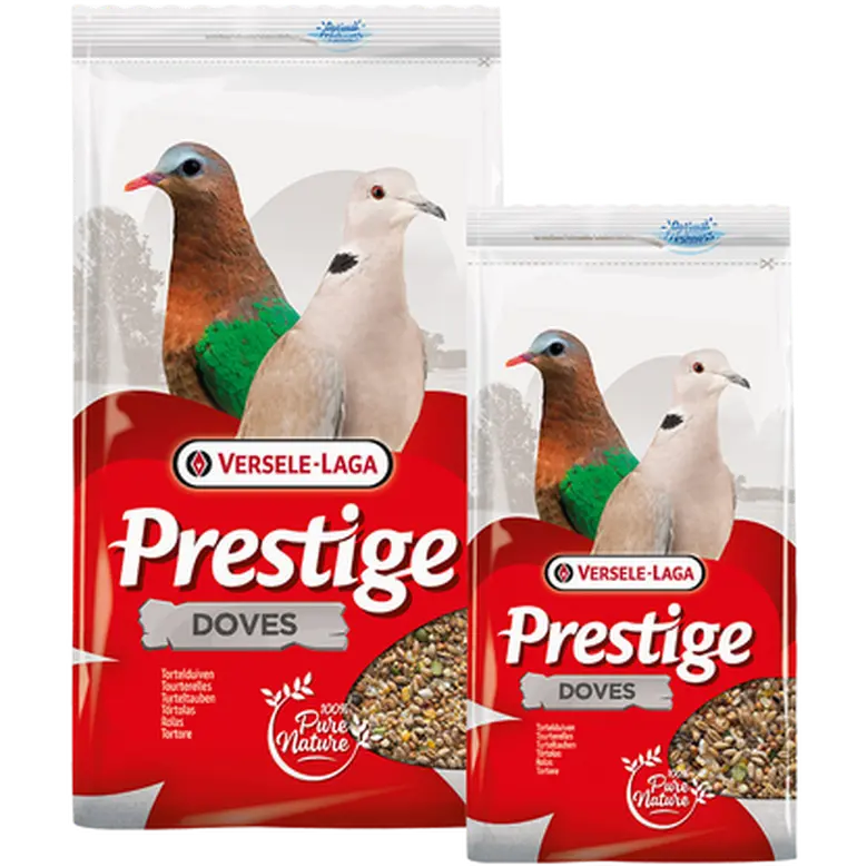 Prestige Turtledove (Duva)