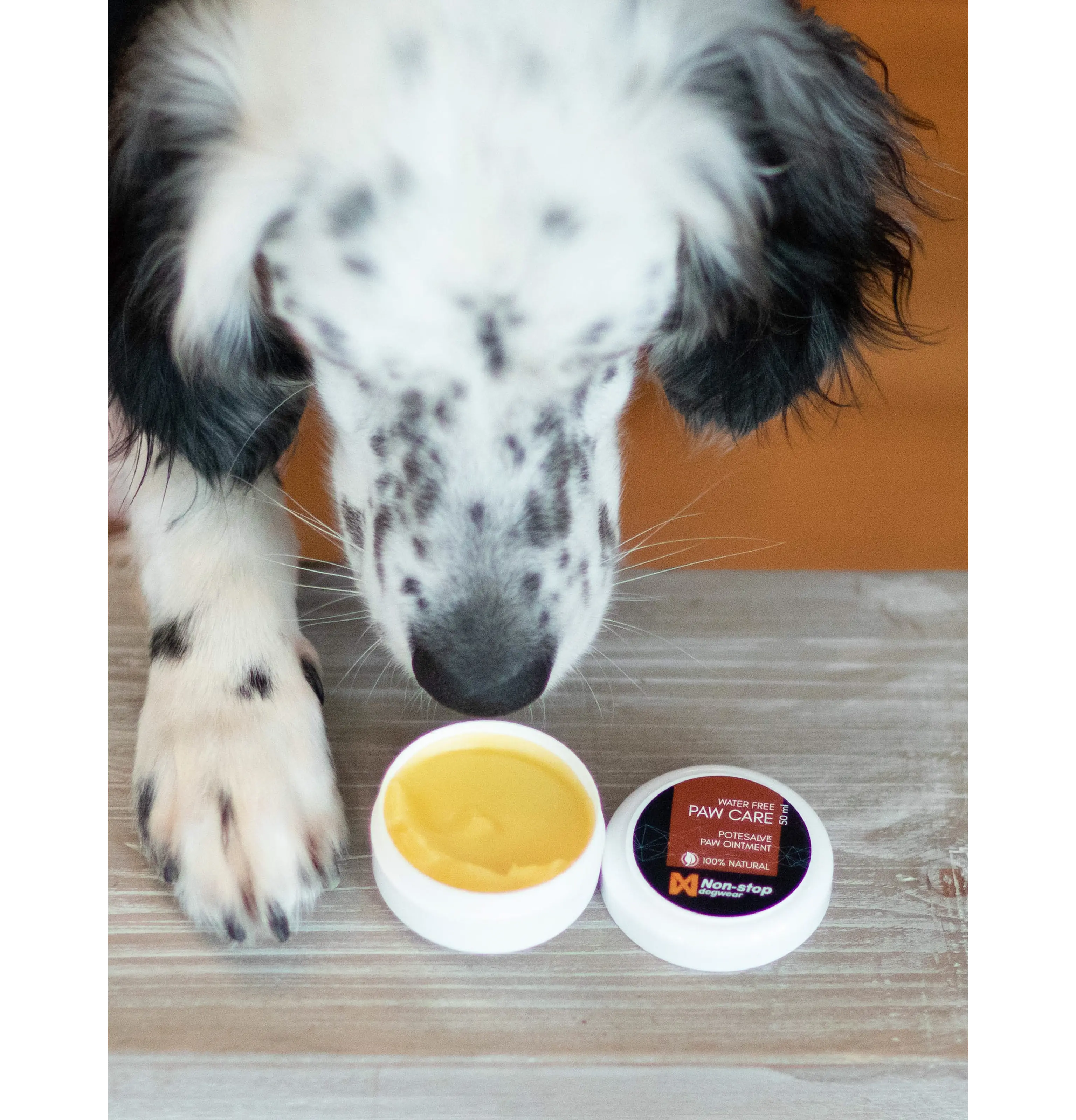 Paw Care Tassalva