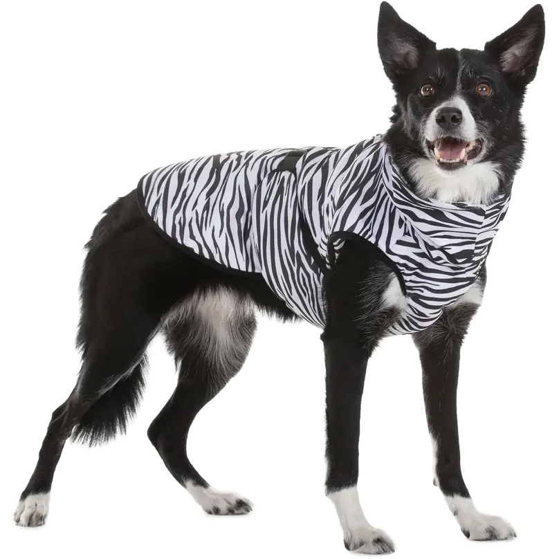Cool & Bug Vest