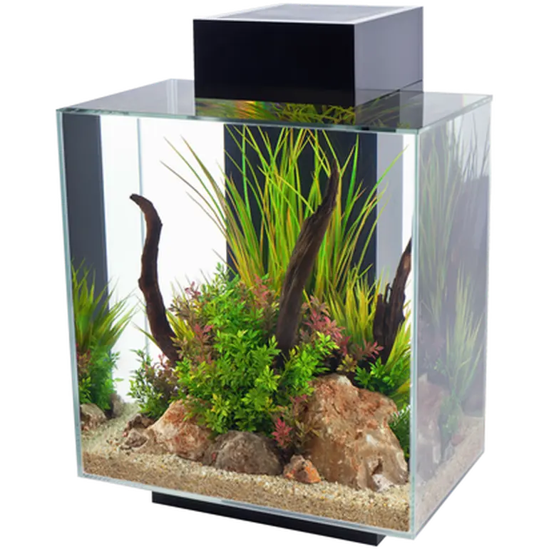 Aquarium Edge