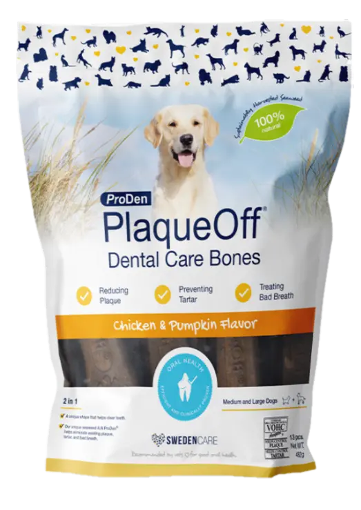 Dental Care Bones Chicken & Pumpkin