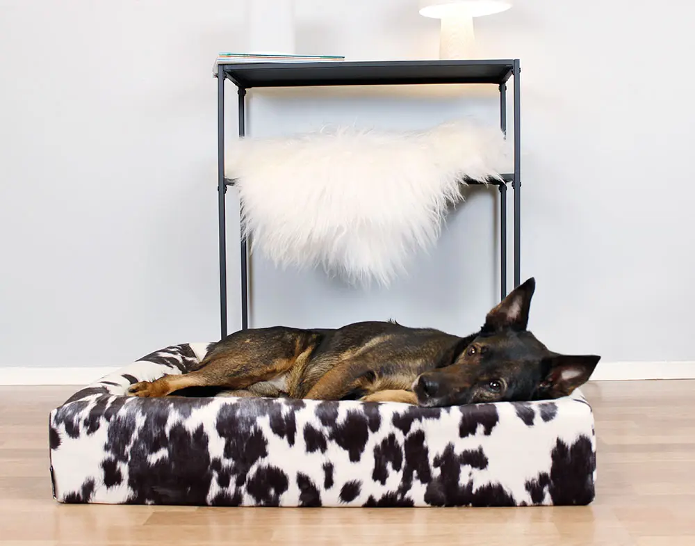 Överdrag Premium Cow Mönstrad
