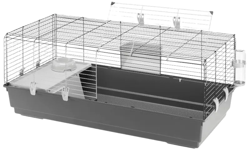 Rabbit 120