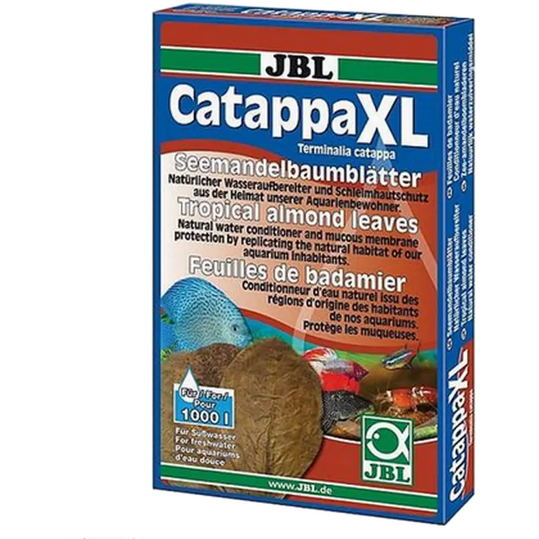 Catappa Tropical Almond Leaves for Freshwater