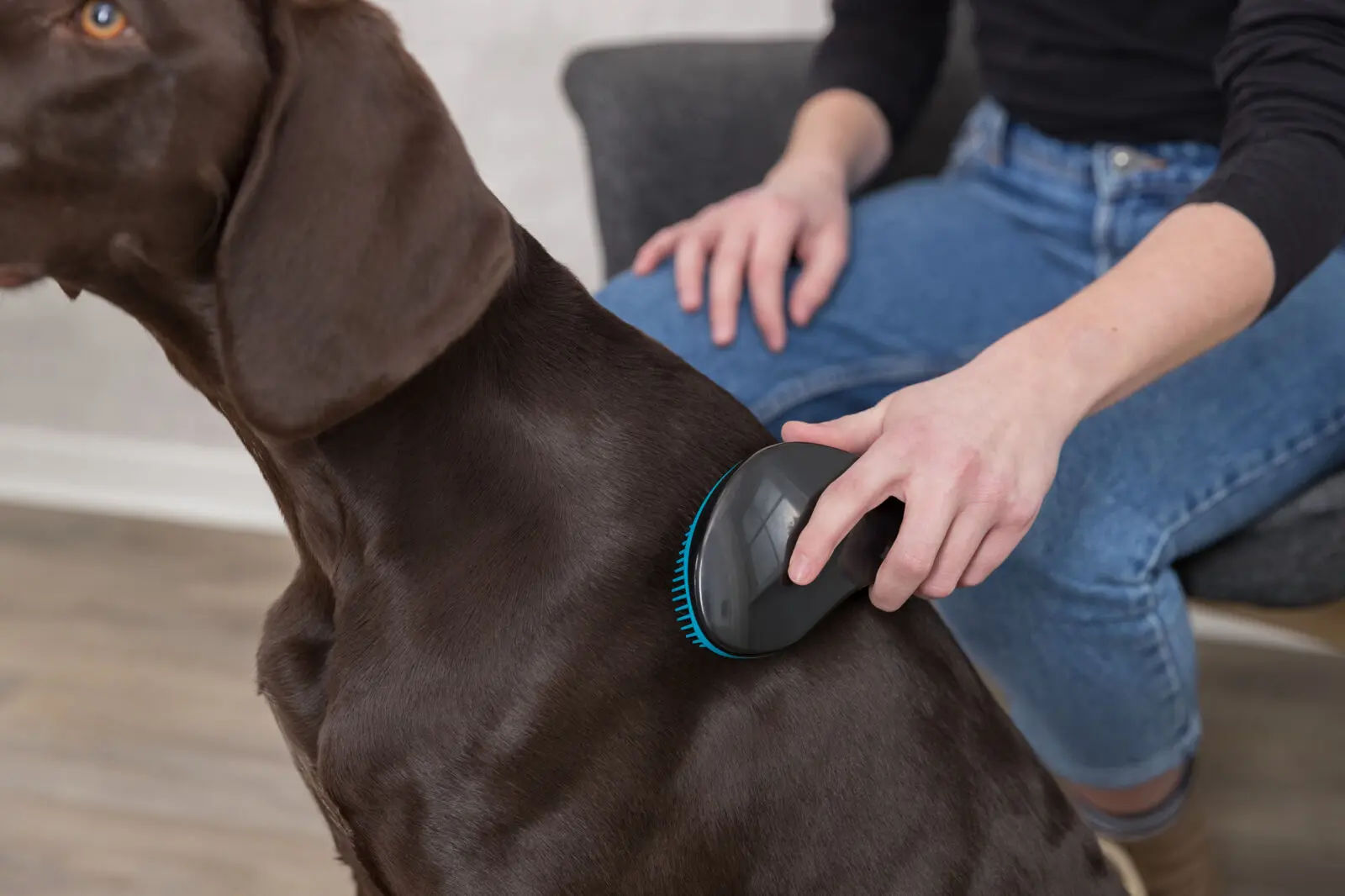 Borste Soft, tangle
