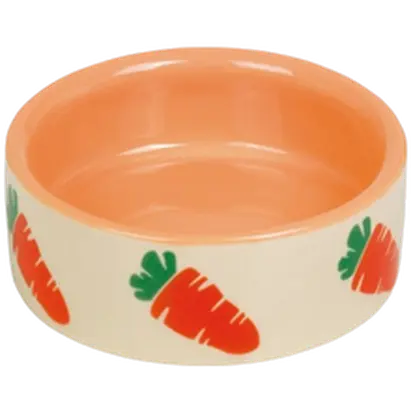 Carrot Ceramic Feeding Bowl