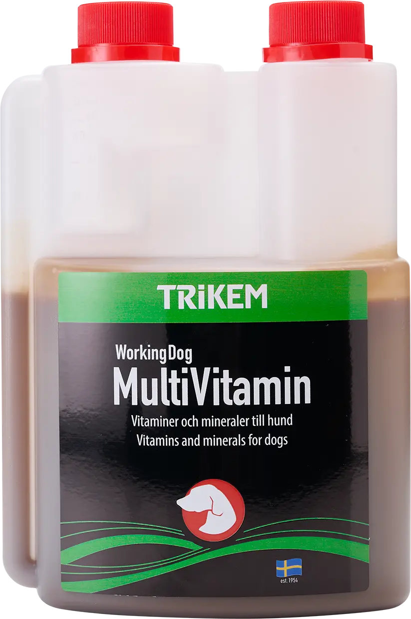 WorkingDog Multivitamin