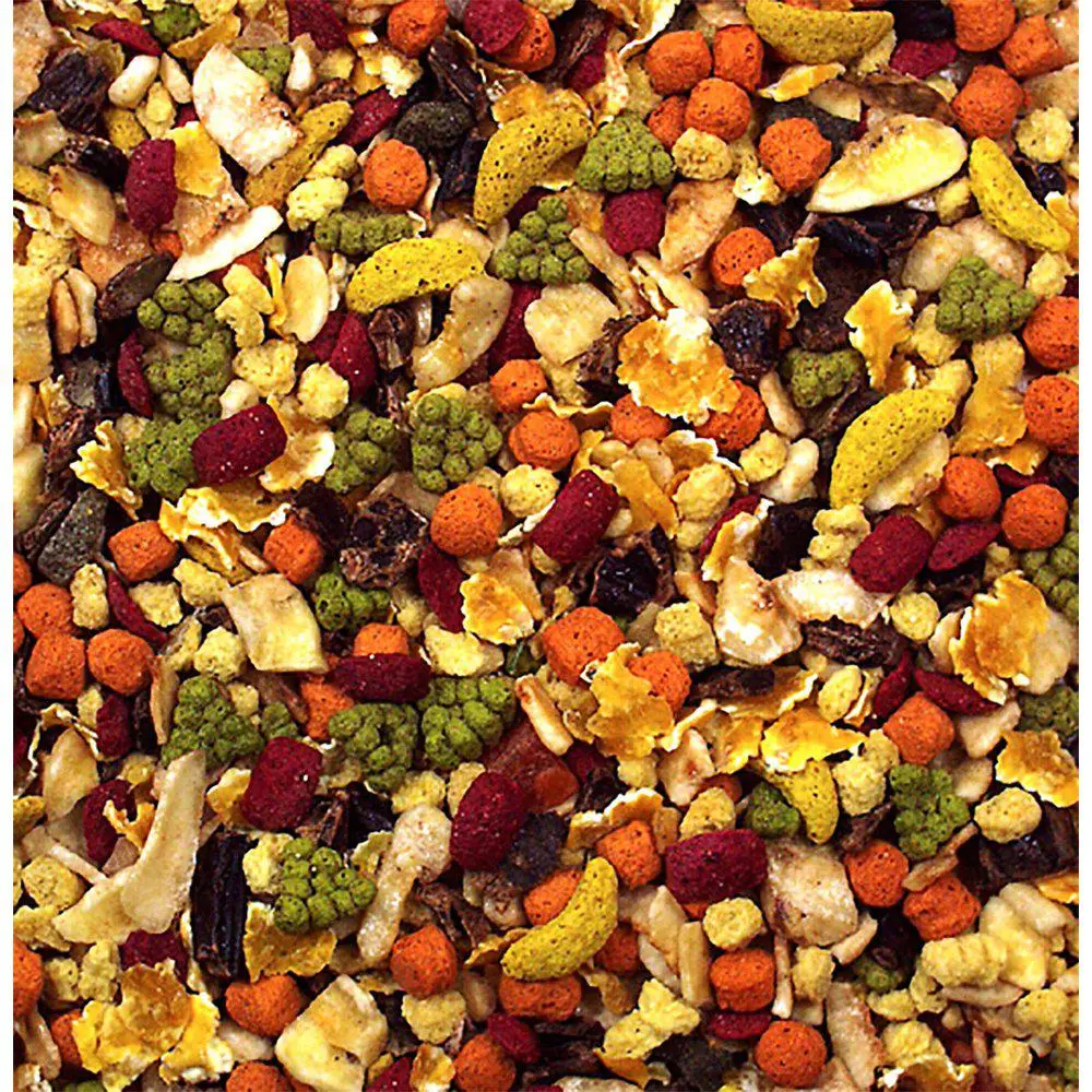 Fruktsallad Torkad