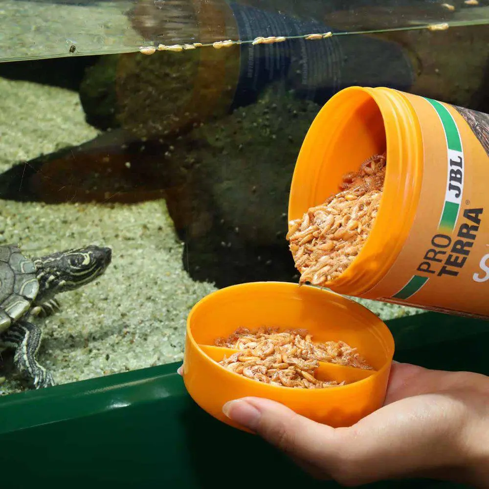 Gammarus Treats for Turtles