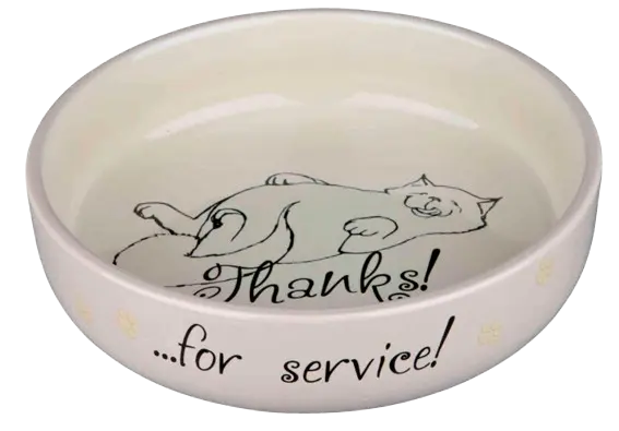 Keramikskål "Thanks for service"för kortnos