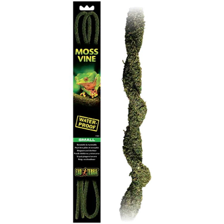 Moss Vine - Hanging Rainforest/Jungle Plants